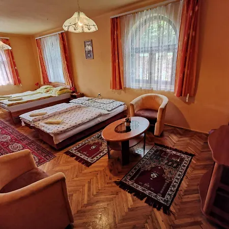Guest house Hegyi Panzio 3*