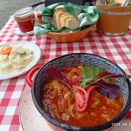 Hegyi Panzio