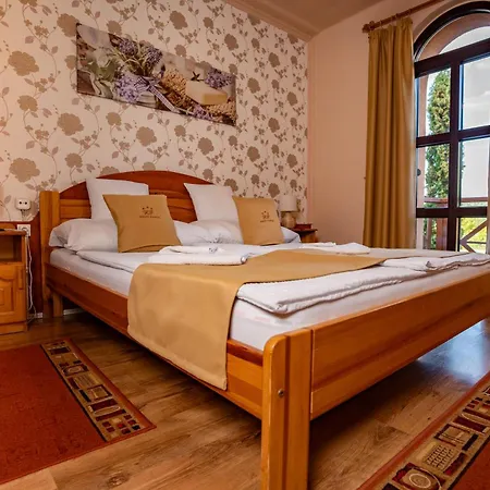 Gasthuis Hegyi Panzio Szilvásvárad