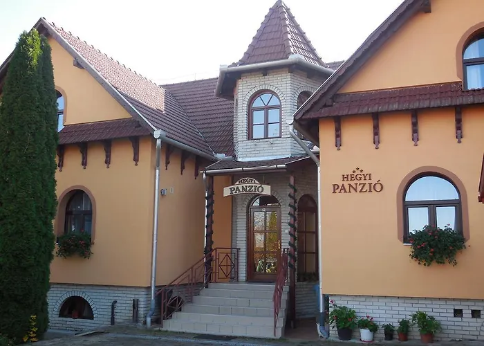 Hegyi Panzio Guest house