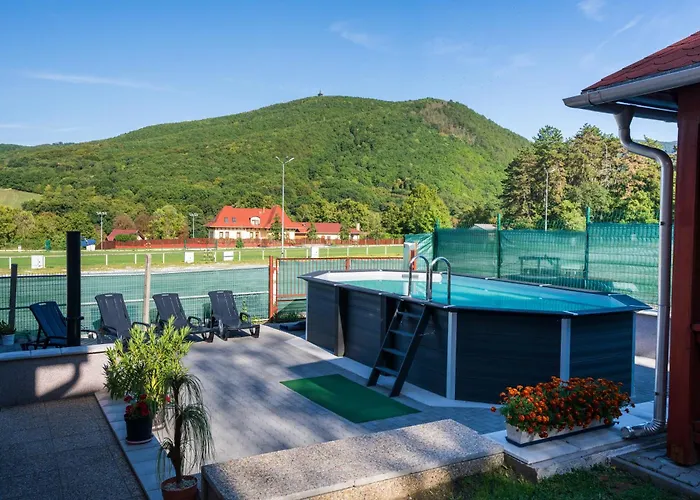 Pensiune Hegyi Panzio 3*